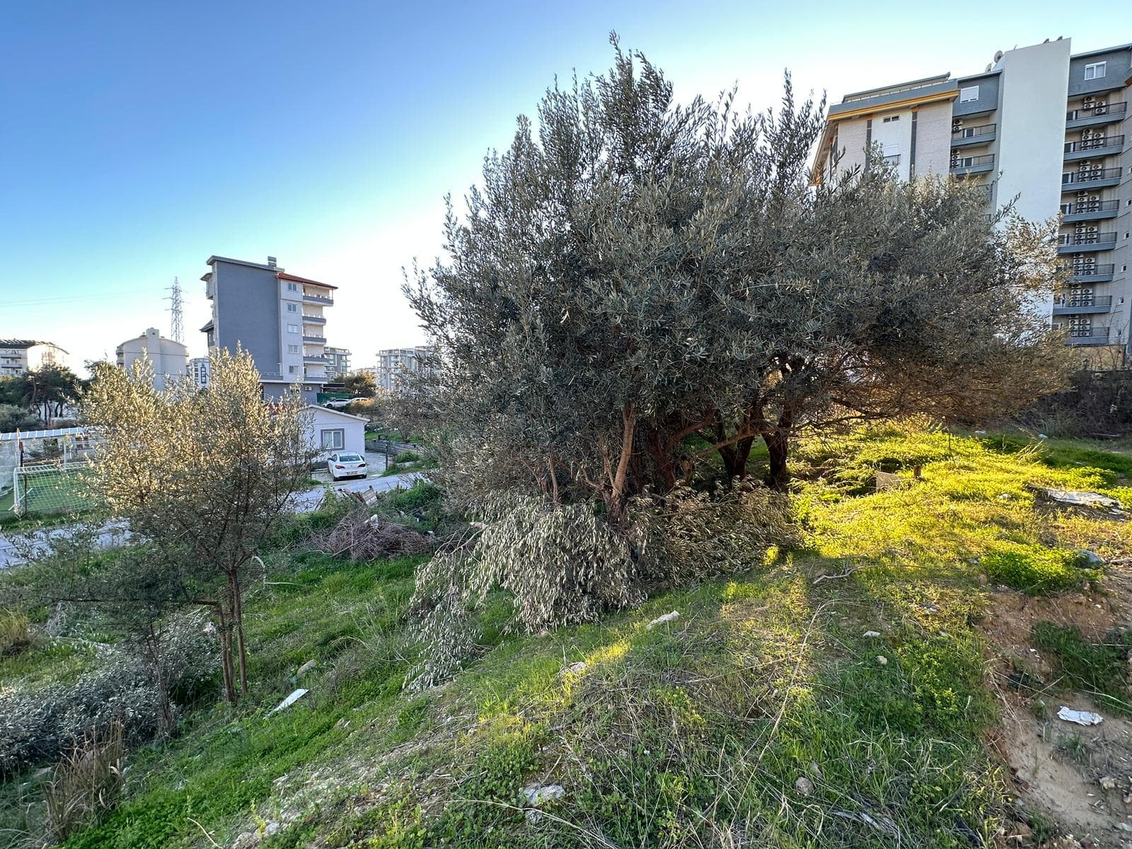 Avsallar, Arsa