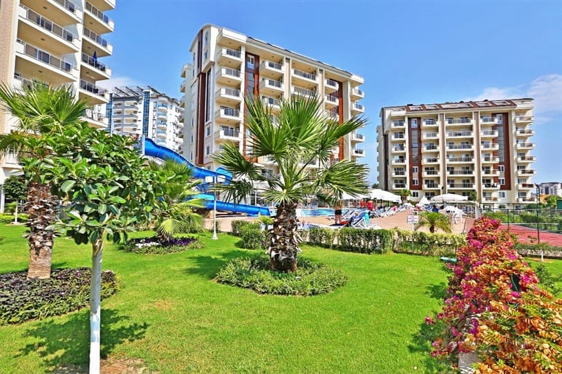 Avsallar, 3+1 Çatı katı