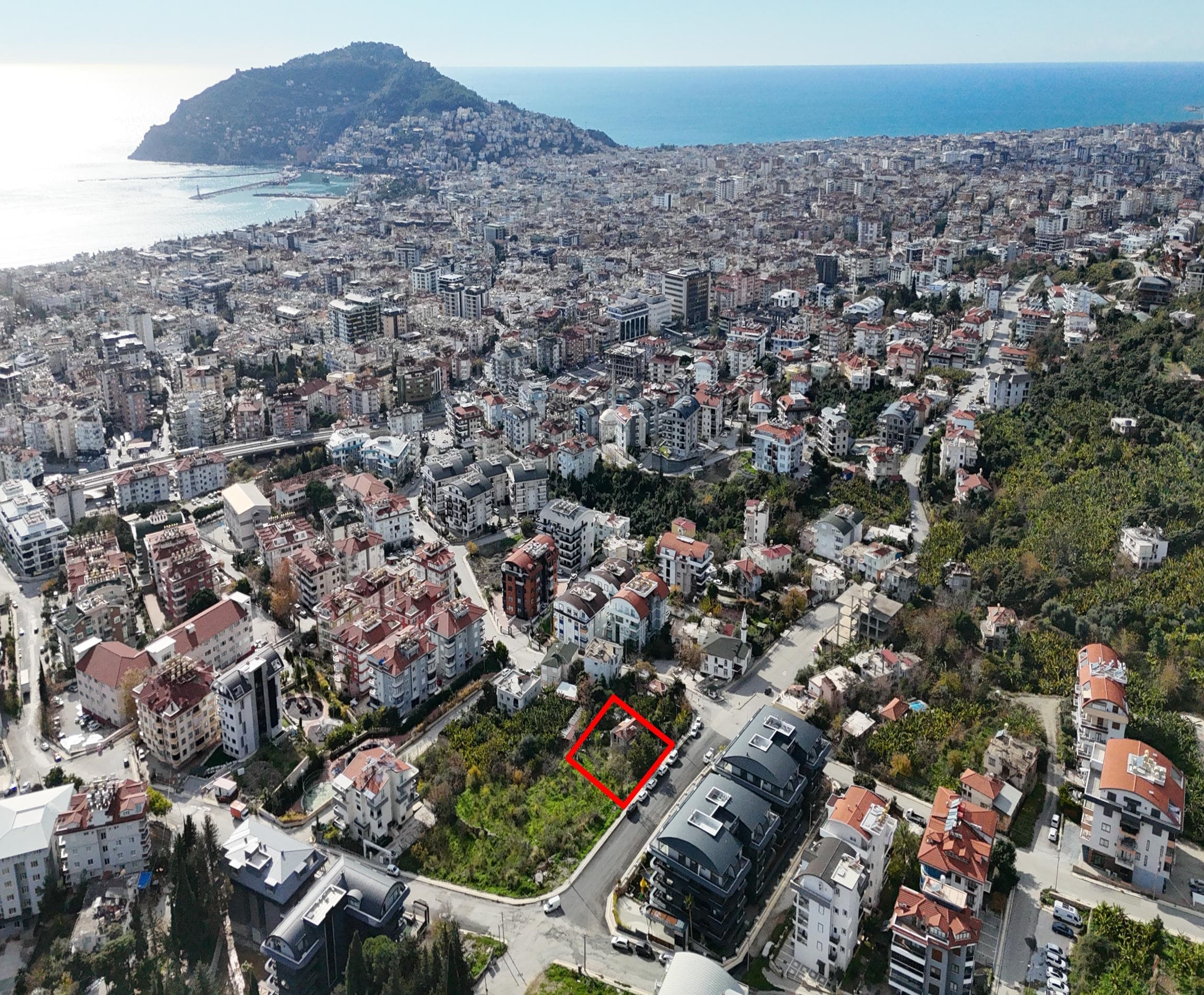 Merkez, Arsa